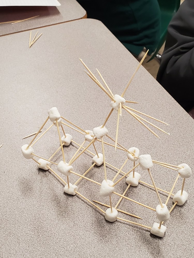Student Marshmallow Models