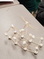 Student Marshmallow Models