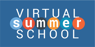 Virtual Summer School